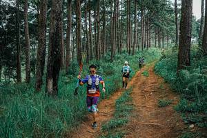 BIB: 
                            <button type="button" onclick="openModal(25659973)" class="btn btn-primary btn-sm float-right btn-popup" data-toggle="modal" data-target=".modal-high-quality">
                        <i class="fas fa-shopping-cart"></i> Add to Cart
                    </button>
                                            <button type="button" onclick="isThisMe(25659973, true)" class="btn btn-success btn-sm float-right btn-popup btn-isme hidden" data-toggle="tooltip" data-placement="bottom" title="นี่คือรูปของคุณใช่ไหม คลิกที่นี่เพื่อเอาเข้าอัลบั้ม">
                        <i class="fas fa-plus"></i> Add to album
                    </button>
                    <button type="button" onclick="isThisMe(25659973, false)" class="btn btn-warning btn-sm float-right btn-popup btn-isnotme hidden">
                        <i class="fas fa-ban"></i> Remove from album
                    </button>